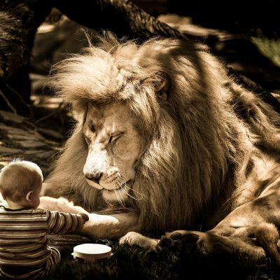 oroszlán kisfiúval